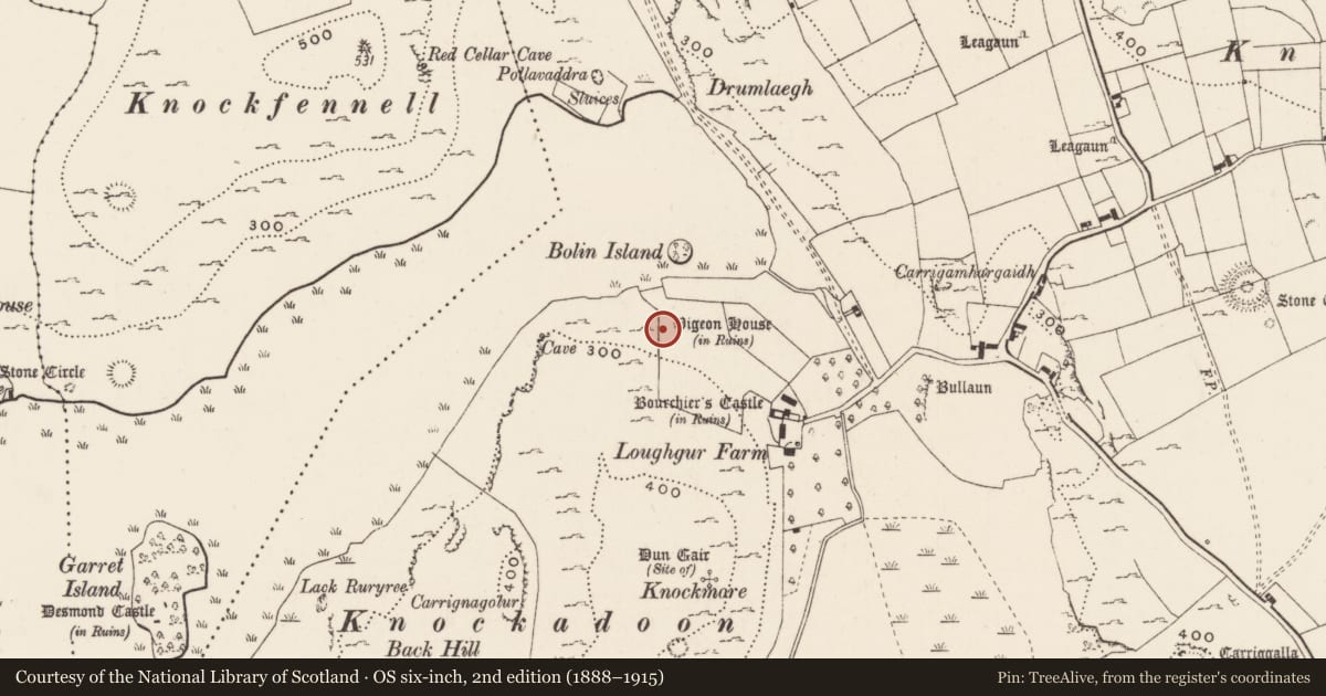 Ordnance Survey six-inch map, 2nd edition (1888–1915) covering the location of Dovecote, Loughgur, County Limerick, with a pin at the register's coordinates