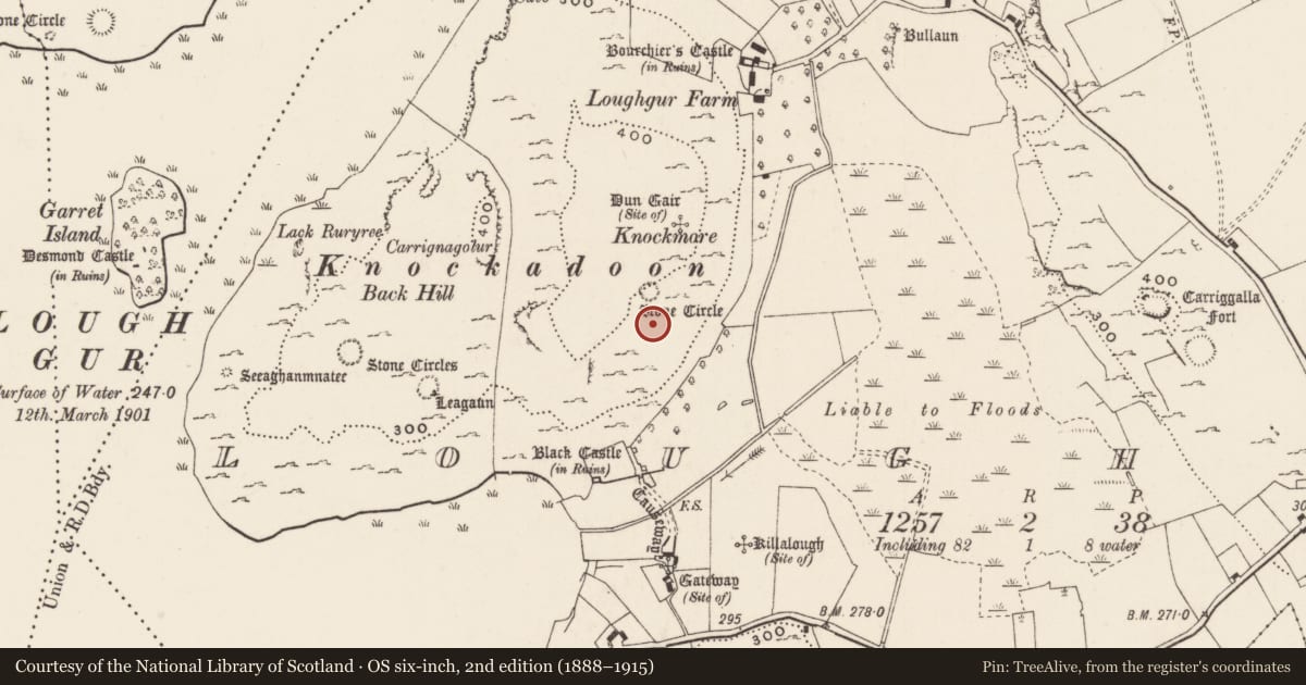 Ordnance Survey six-inch map, 2nd edition (1888–1915) covering the location of Enclosure, Loughgur, County Limerick, with a pin at the register's coordinates