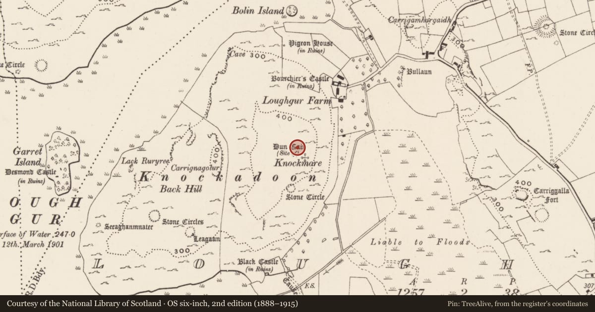 Ordnance Survey six-inch map, 2nd edition (1888–1915) covering the location of Cairn - ring-cairn, Loughgur, County Limerick, with a pin at the register's coordinates