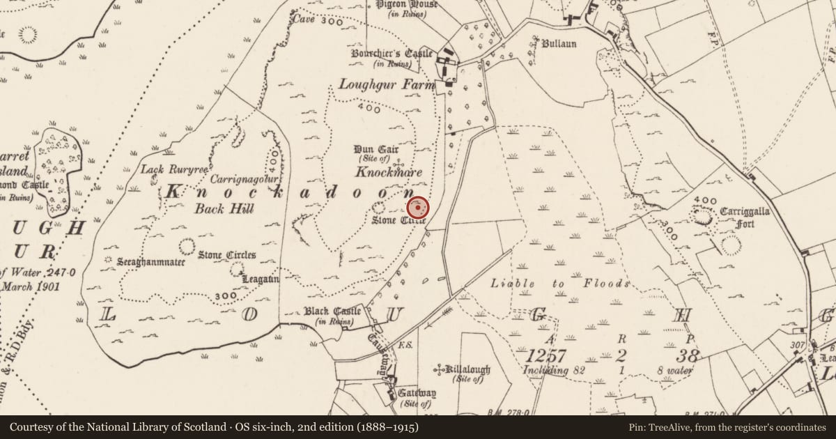 Ordnance Survey six-inch map, 2nd edition (1888–1915) covering the location of House - prehistoric, Loughgur, County Limerick, with a pin at the register's coordinates