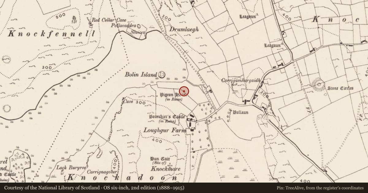 Ordnance Survey six-inch map, 2nd edition (1888–1915) covering the location of Fulacht fia, Loughgur, County Limerick, with a pin at the register's coordinates