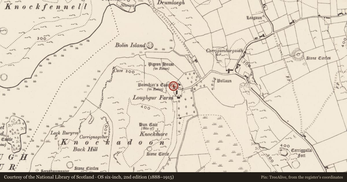 Ordnance Survey six-inch map, 2nd edition (1888–1915) covering the location of Castle - tower house, Loughgur, County Limerick, with a pin at the register's coordinates