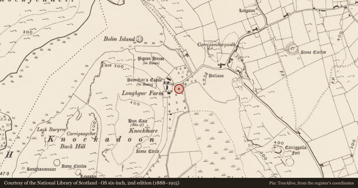 Ordnance Survey six-inch map, 2nd edition (1888–1915) covering the location of Megalithic structure, Loughgur, County Limerick, with a pin at the register's coordinates
