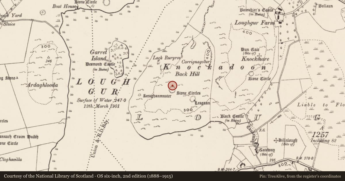 Ordnance Survey six-inch map, 2nd edition (1888–1915) covering the location of House - prehistoric, Loughgur, County Limerick, with a pin at the register's coordinates