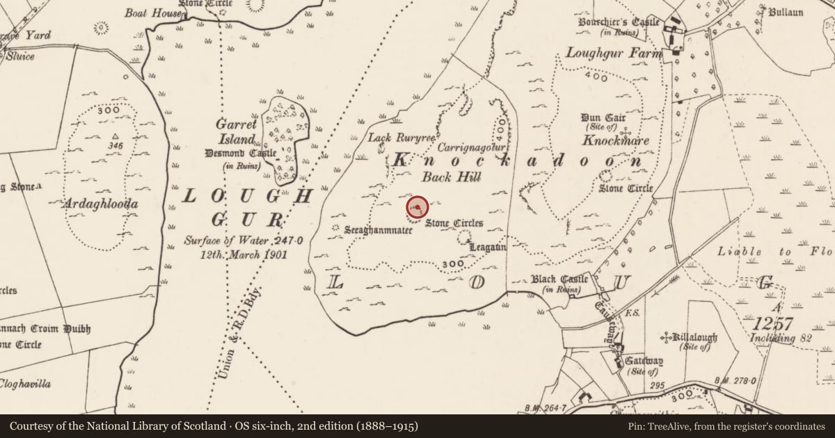 Ordnance Survey six-inch map, 2nd edition (1888–1915) covering the location of Burial, Loughgur, County Limerick, with a pin at the register's coordinates