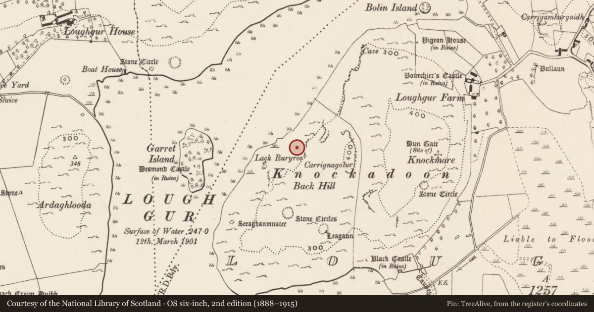 Ordnance Survey six-inch map, 2nd edition (1888–1915) covering the location of Earthwork, Loughgur, County Limerick, with a pin at the register's coordinates
