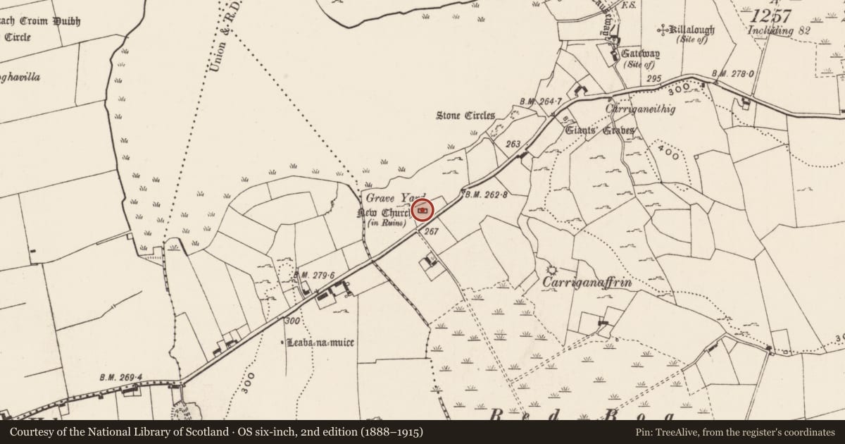 Ordnance Survey six-inch map, 2nd edition (1888–1915) covering the location of Church, Loughgur, County Limerick, with a pin at the register's coordinates