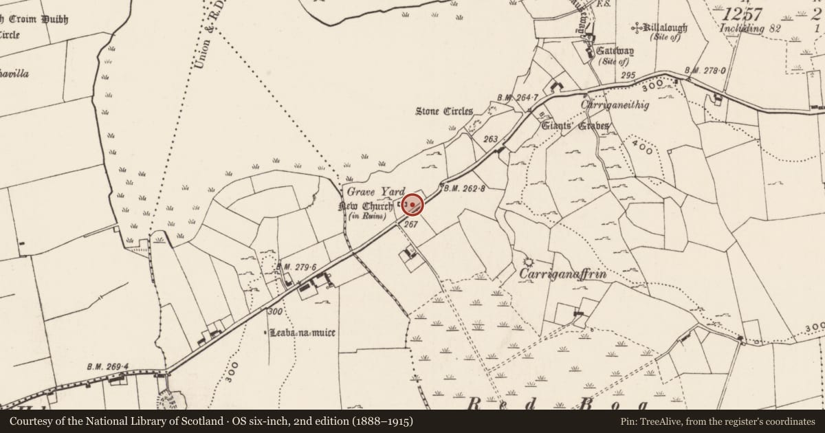 Ordnance Survey six-inch map, 2nd edition (1888–1915) covering the location of Graveyard, Loughgur, County Limerick, with a pin at the register's coordinates