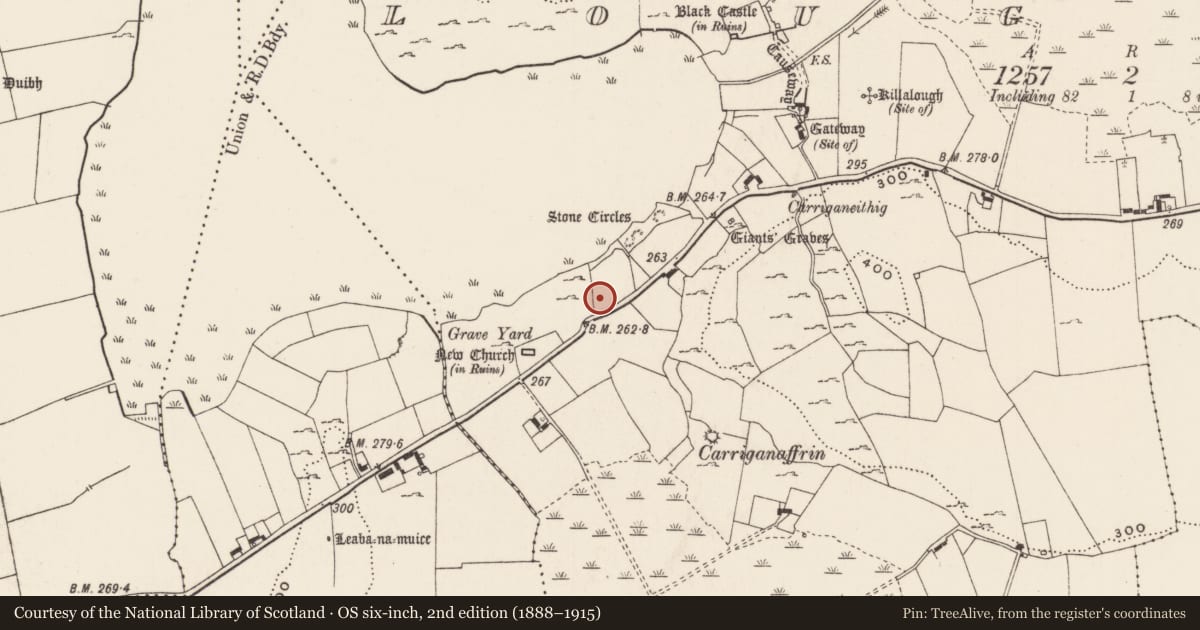 Ordnance Survey six-inch map, 2nd edition (1888–1915) covering the location of Road - road/trackway, Loughgur, County Limerick, with a pin at the register's coordinates