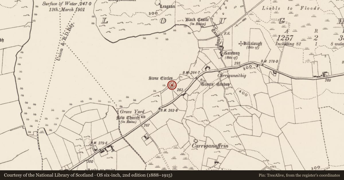 Ordnance Survey six-inch map, 2nd edition (1888–1915) covering the location of Settlement platform, Loughgur, County Limerick, with a pin at the register's coordinates
