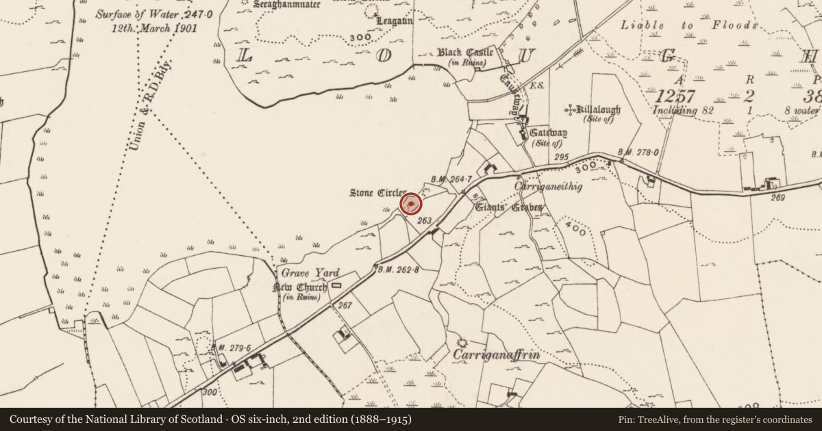 Ordnance Survey six-inch map, 2nd edition (1888–1915) covering the location of Settlement platform, Loughgur, County Limerick, with a pin at the register's coordinates