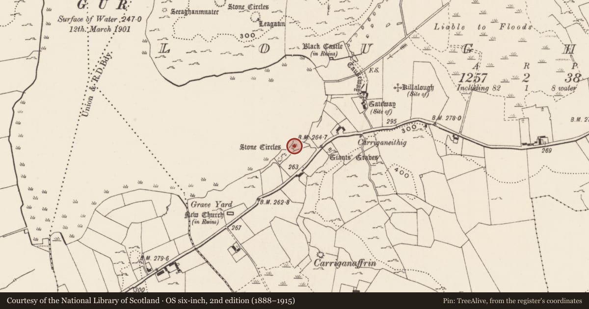 Ordnance Survey six-inch map, 2nd edition (1888–1915) covering the location of Settlement platform, Loughgur, County Limerick, with a pin at the register's coordinates
