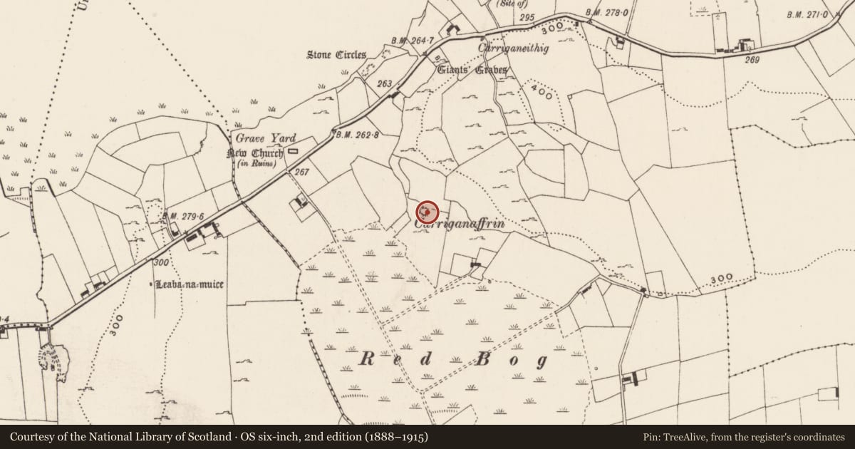 Ordnance Survey six-inch map, 2nd edition (1888–1915) covering the location of Ringfort - unclassified, Loughgur, County Limerick, with a pin at the register's coordinates