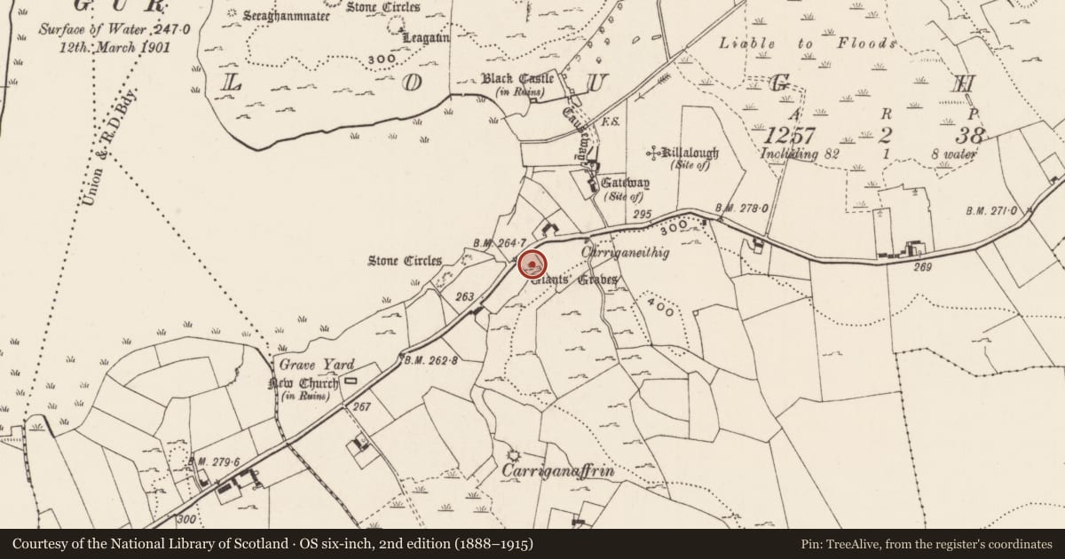Ordnance Survey six-inch map, 2nd edition (1888–1915) covering the location of Megalithic tomb - wedge tomb, Loughgur, County Limerick, with a pin at the register's coordinates