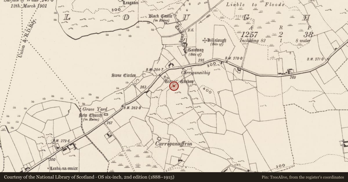 Ordnance Survey six-inch map, 2nd edition (1888–1915) covering the location of Megalithic structure, Loughgur, County Limerick, with a pin at the register's coordinates
