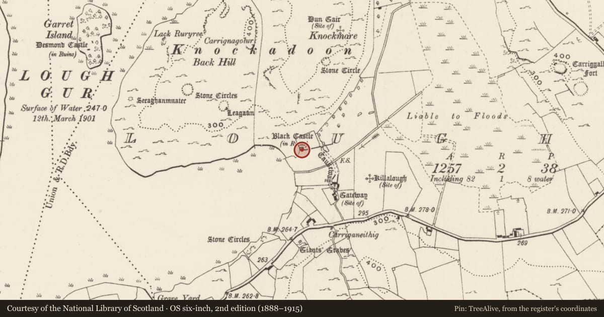 Ordnance Survey six-inch map, 2nd edition (1888–1915) covering the location of Castle - tower house, Loughgur, County Limerick, with a pin at the register's coordinates