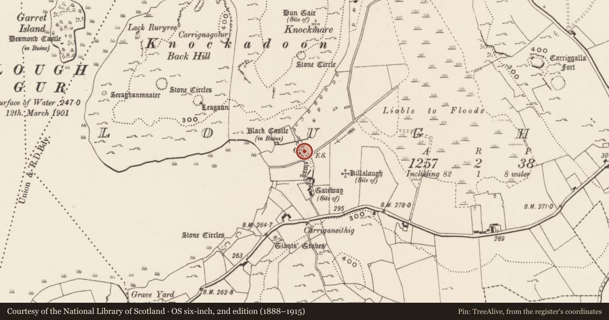 Ordnance Survey six-inch map, 2nd edition (1888–1915) covering the location of Causeway, Loughgur, County Limerick, with a pin at the register's coordinates