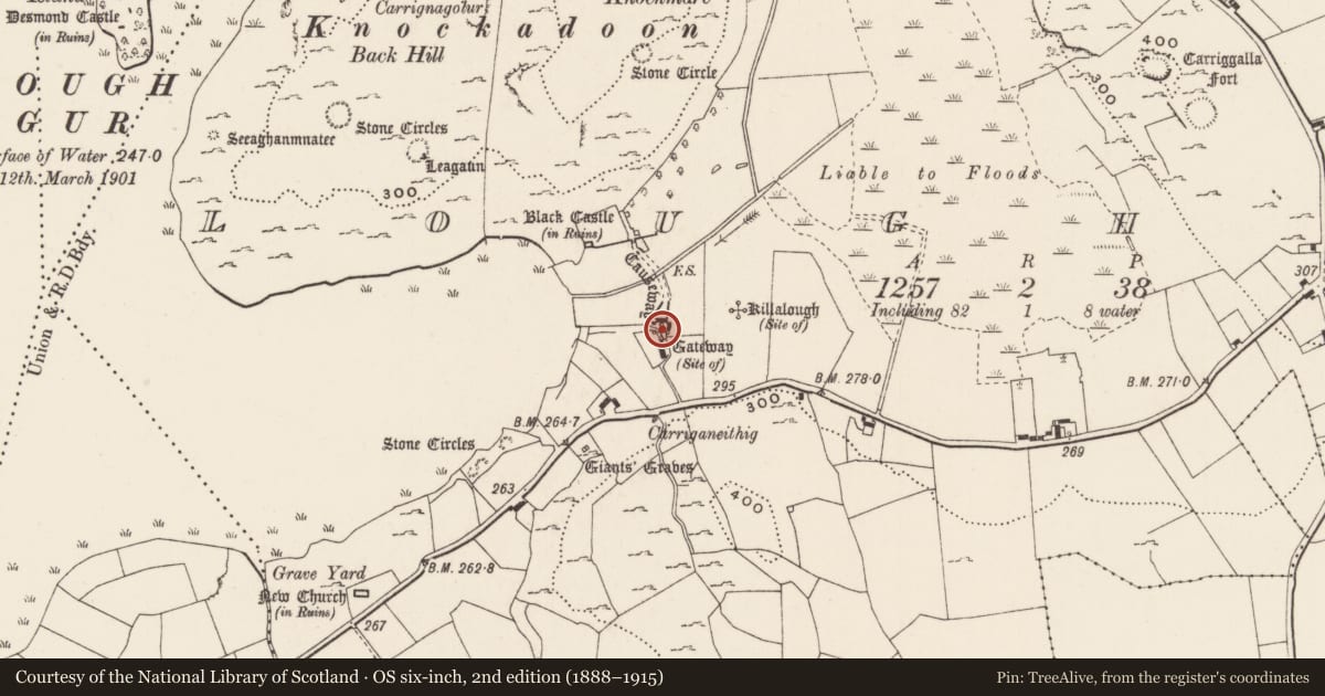 Ordnance Survey six-inch map, 2nd edition (1888–1915) covering the location of Gatehouse, Loughgur, County Limerick, with a pin at the register's coordinates