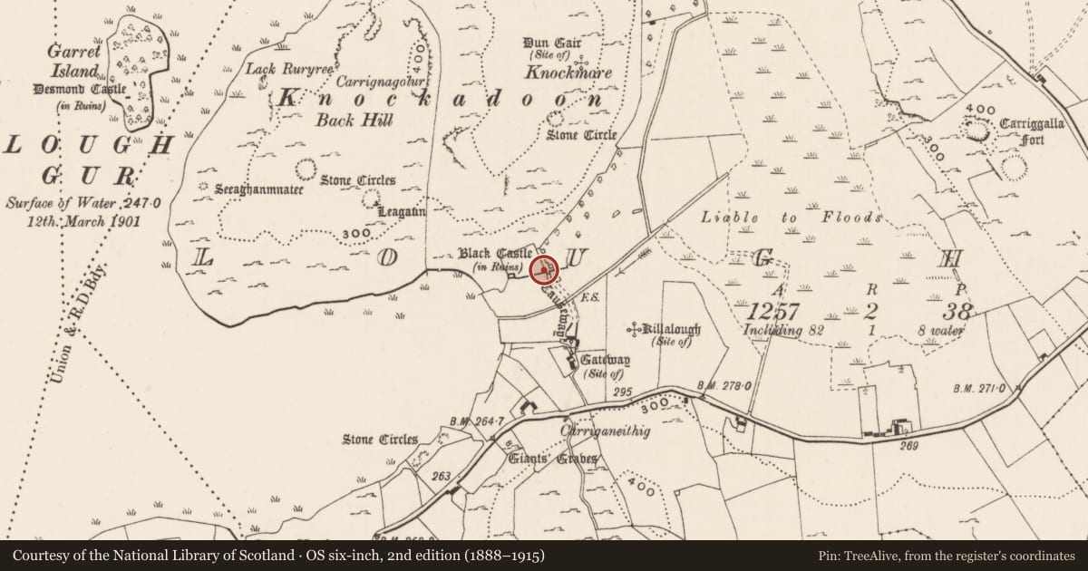 Ordnance Survey six-inch map, 2nd edition (1888–1915) covering the location of Bawn, Loughgur, County Limerick, with a pin at the register's coordinates