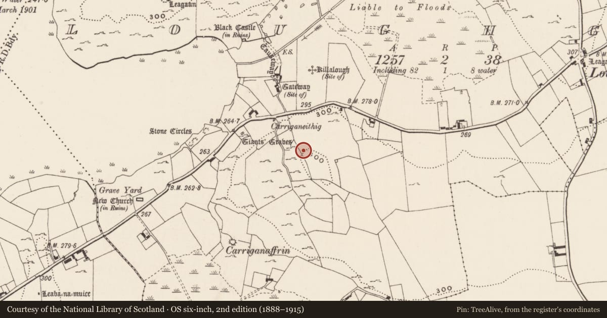 Ordnance Survey six-inch map, 2nd edition (1888–1915) covering the location of Standing stone, Loughgur, County Limerick, with a pin at the register's coordinates