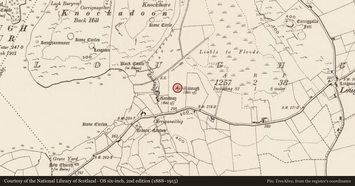 Ordnance Survey six-inch map, 2nd edition (1888–1915) covering the location of Church, Loughgur, County Limerick, with a pin at the register's coordinates