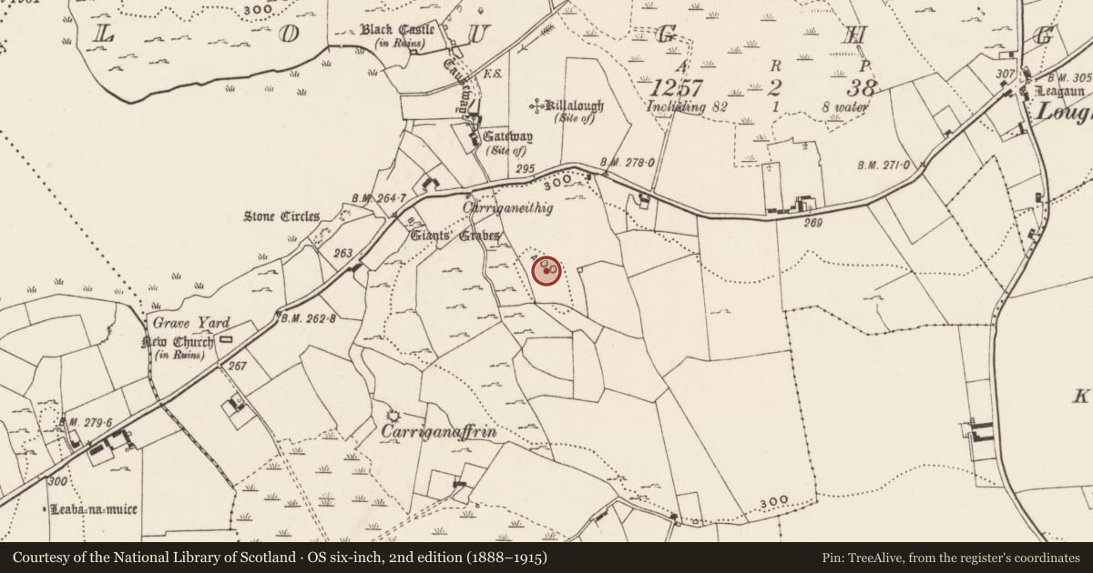 Ordnance Survey six-inch map, 2nd edition (1888–1915) covering the location of Standing stone, Loughgur, County Limerick, with a pin at the register's coordinates