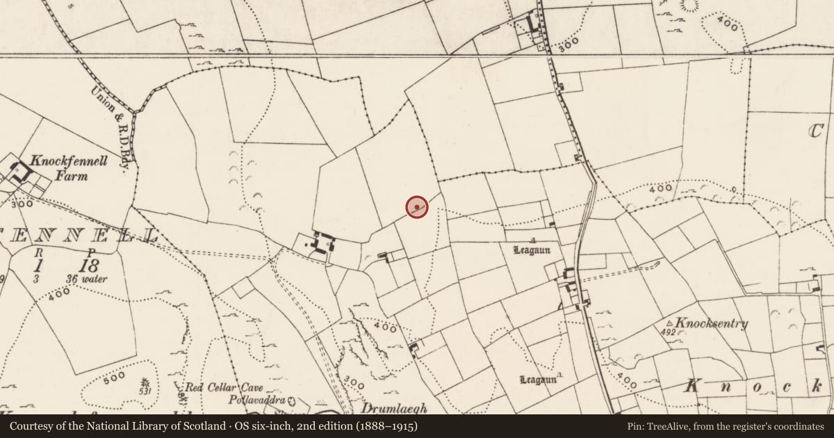Ordnance Survey six-inch map, 2nd edition (1888–1915) covering the location of Standing stone, Loughgur, County Limerick, with a pin at the register's coordinates