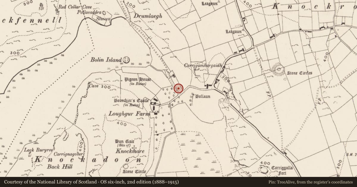 Ordnance Survey six-inch map, 2nd edition (1888–1915) covering the location of House - medieval, Loughgur, County Limerick, with a pin at the register's coordinates
