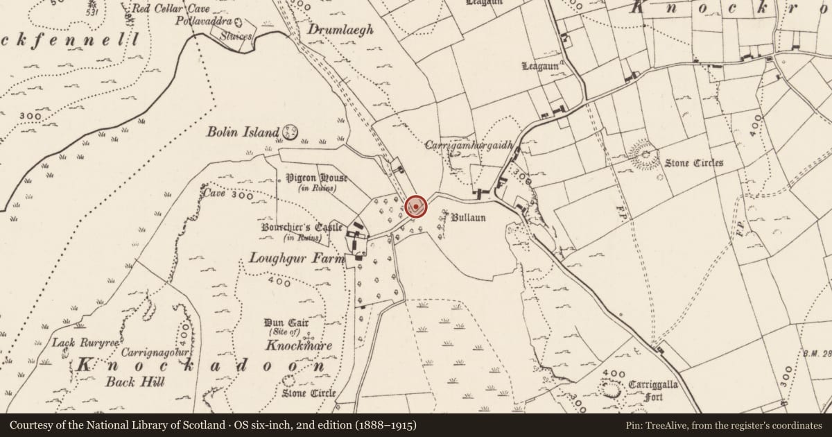 Ordnance Survey six-inch map, 2nd edition (1888–1915) covering the location of House - medieval, Loughgur, County Limerick, with a pin at the register's coordinates
