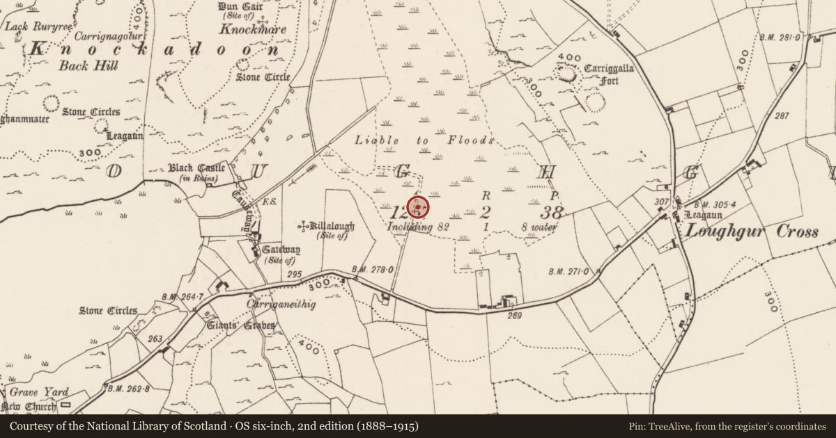 Ordnance Survey six-inch map, 2nd edition (1888–1915) covering the location of Road - road/trackway, Loughgur, County Limerick, with a pin at the register's coordinates