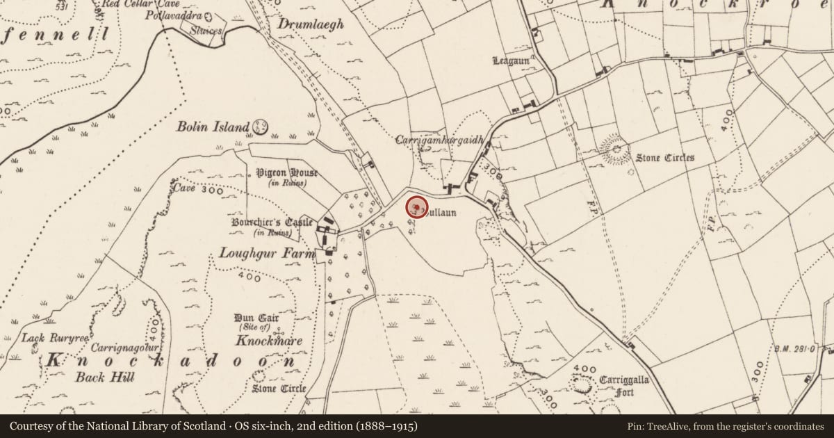 Ordnance Survey six-inch map, 2nd edition (1888–1915) covering the location of Bullaun stone, Loughgur, County Limerick, with a pin at the register's coordinates