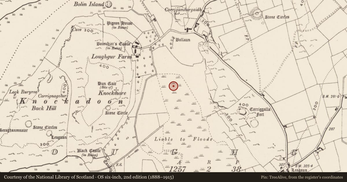 Ordnance Survey six-inch map, 2nd edition (1888–1915) covering the location of Crannog, Loughgur, County Limerick, with a pin at the register's coordinates