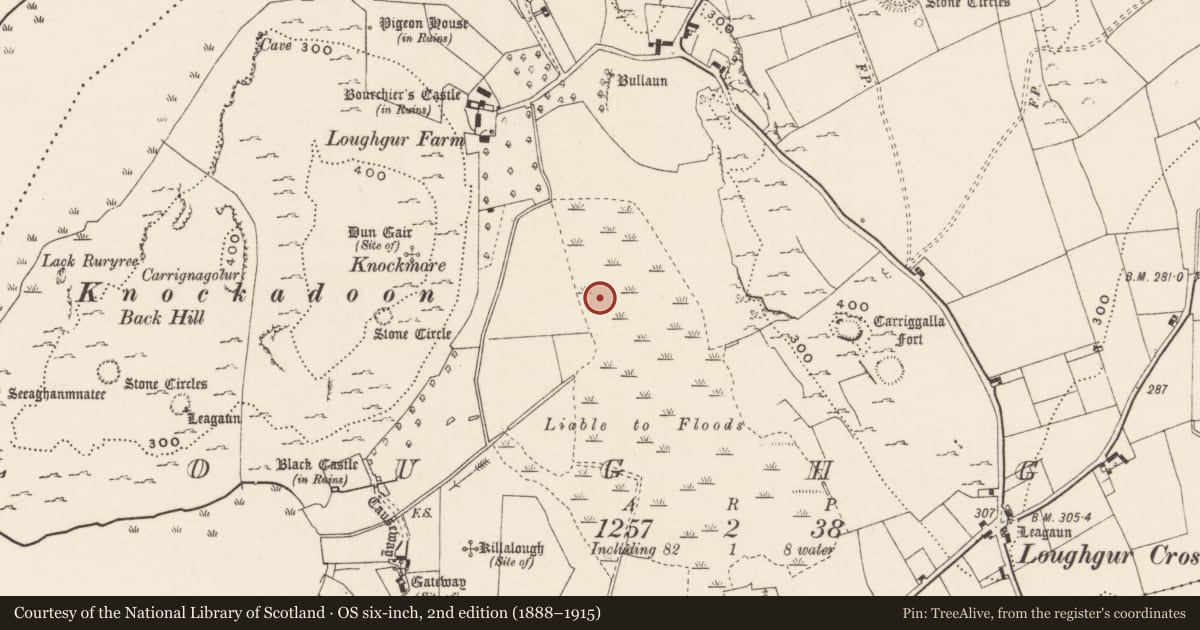 Ordnance Survey six-inch map, 2nd edition (1888–1915) covering the location of Crannog, Loughgur, County Limerick, with a pin at the register's coordinates