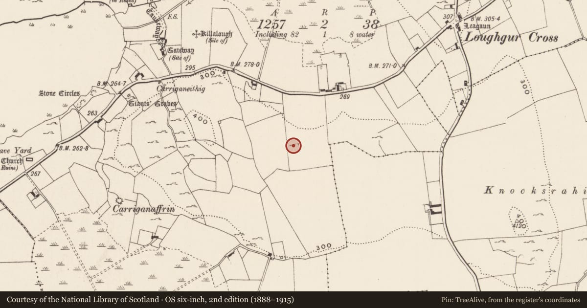 Ordnance Survey six-inch map, 2nd edition (1888–1915) covering the location of Cairn - unclassified, Loughgur, County Limerick, with a pin at the register's coordinates