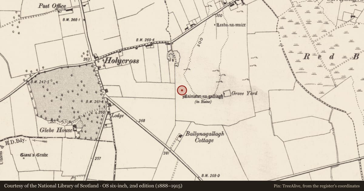 Ordnance Survey six-inch map, 2nd edition (1888–1915) covering the location of Road - road/trackway, Ballynagallagh, County Limerick, with a pin at the register's coordinates