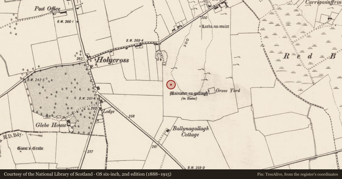 Ordnance Survey six-inch map, 2nd edition (1888–1915) covering the location of Cairn - unclassified, Ballynagallagh, County Limerick, with a pin at the register's coordinates