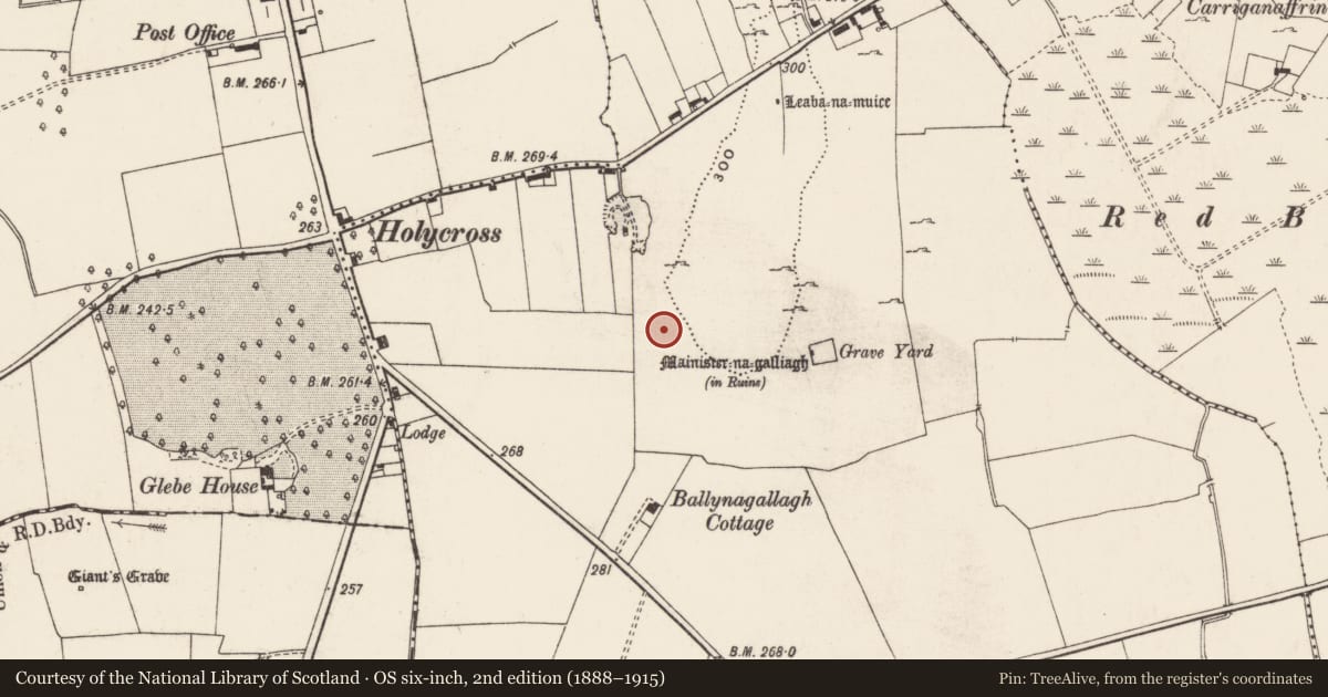 Ordnance Survey six-inch map, 2nd edition (1888–1915) covering the location of Standing stone, Ballynagallagh, County Limerick, with a pin at the register's coordinates