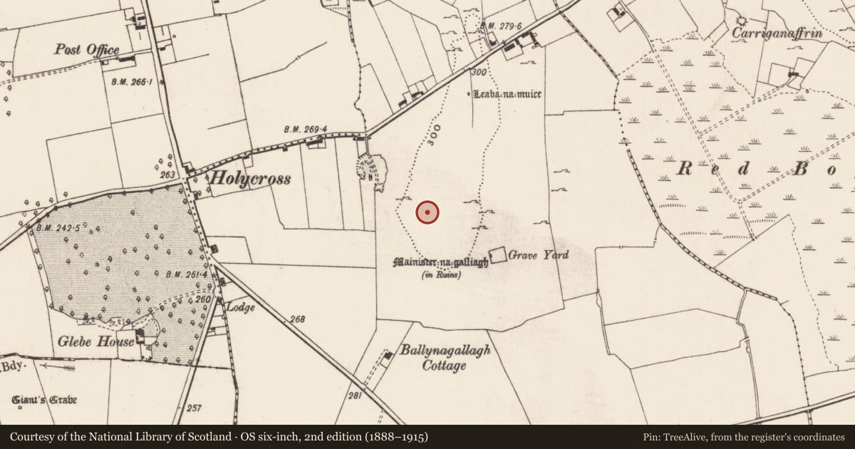 Ordnance Survey six-inch map, 2nd edition (1888–1915) covering the location of Enclosure, Ballynagallagh, County Limerick, with a pin at the register's coordinates