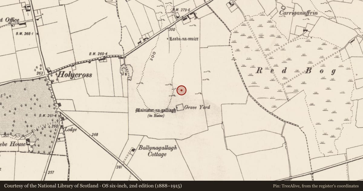 Ordnance Survey six-inch map, 2nd edition (1888–1915) covering the location of Earthwork, Ballynagallagh, County Limerick, with a pin at the register's coordinates