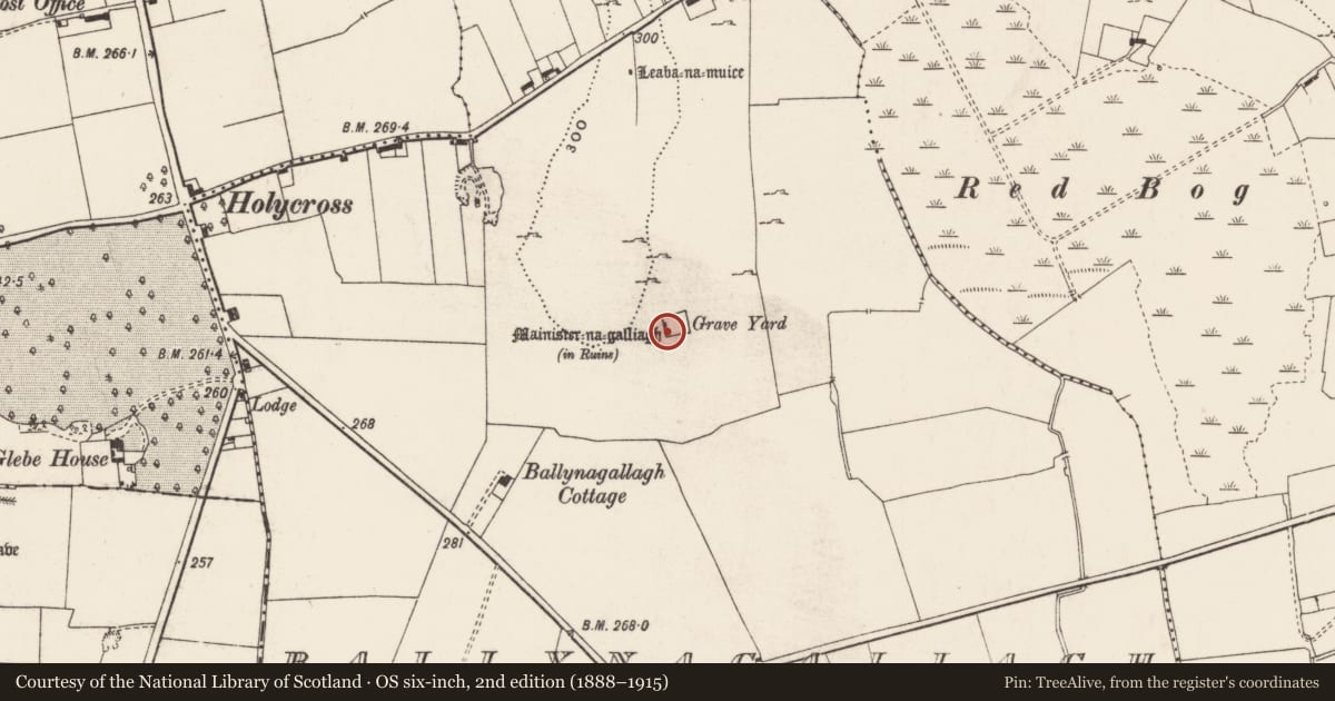 Ordnance Survey six-inch map, 2nd edition (1888–1915) covering the location of Religious house - Augustinian nuns, Ballynagallagh, County Limerick, with a pin at the register's coordinates