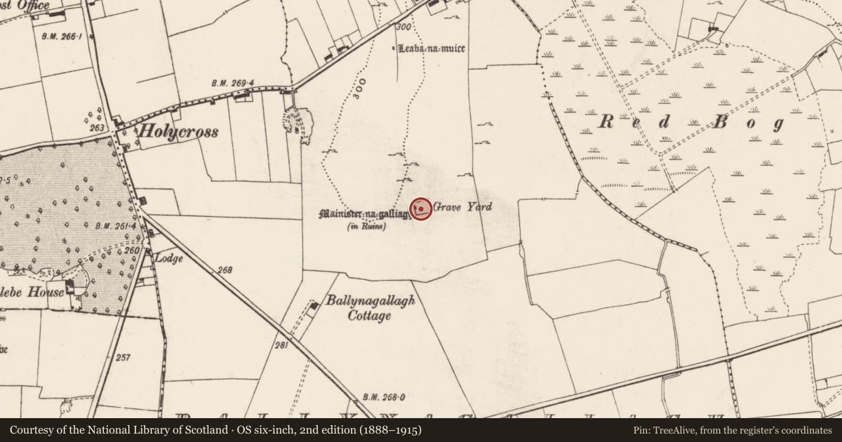 Ordnance Survey six-inch map, 2nd edition (1888–1915) covering the location of Graveyard, Ballynagallagh, County Limerick, with a pin at the register's coordinates