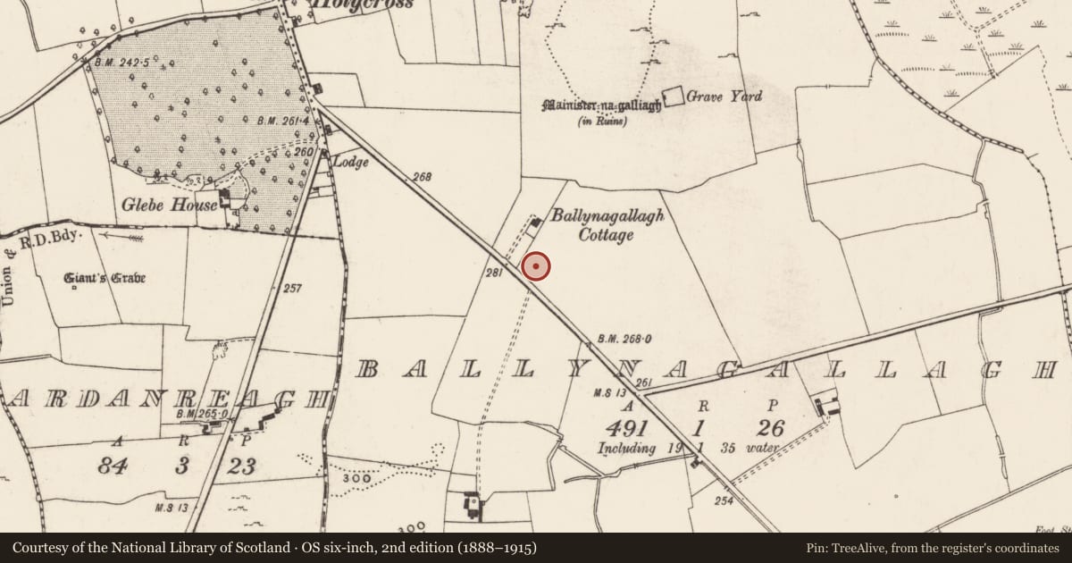 Ordnance Survey six-inch map, 2nd edition (1888–1915) covering the location of Megalithic structure, Ballynagallagh, County Limerick, with a pin at the register's coordinates