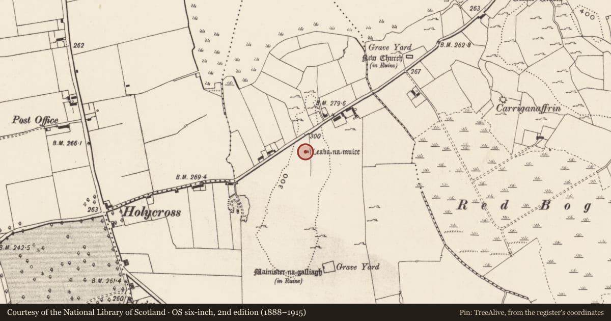 Ordnance Survey six-inch map, 2nd edition (1888–1915) covering the location of Megalithic tomb - unclassified, Ballynagallagh, County Limerick, with a pin at the register's coordinates