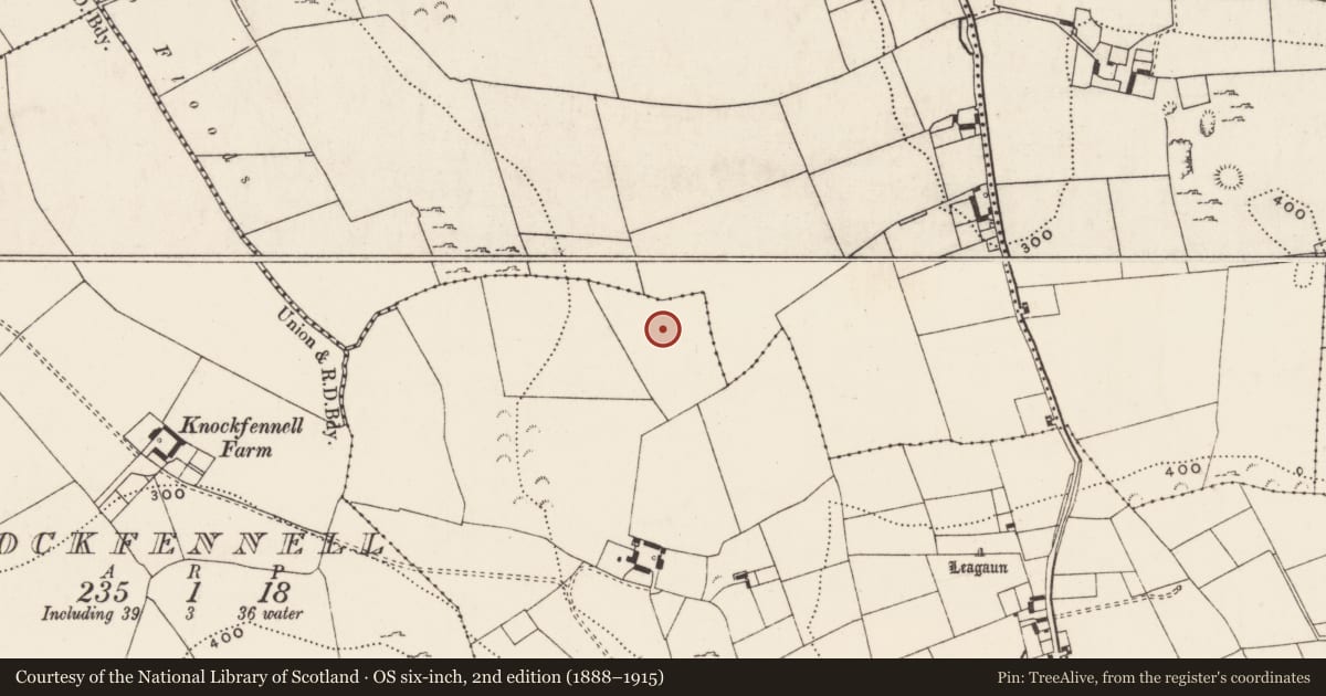 Ordnance Survey six-inch map, 2nd edition (1888–1915) covering the location of Barrow - unclassified, Loughgur, County Limerick, with a pin at the register's coordinates