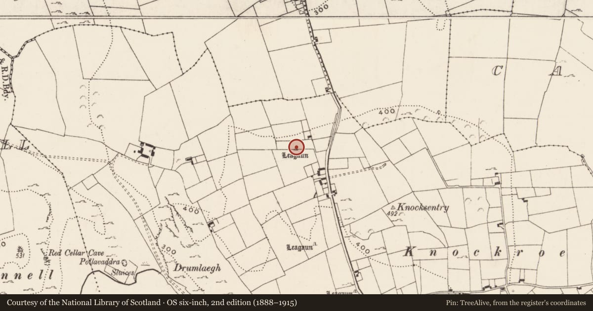 Ordnance Survey six-inch map, 2nd edition (1888–1915) covering the location of Standing stone, Loughgur, County Limerick, with a pin at the register's coordinates