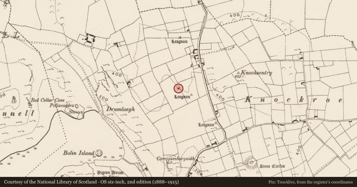 Ordnance Survey six-inch map, 2nd edition (1888–1915) covering the location of Standing stone, Loughgur, County Limerick, with a pin at the register's coordinates