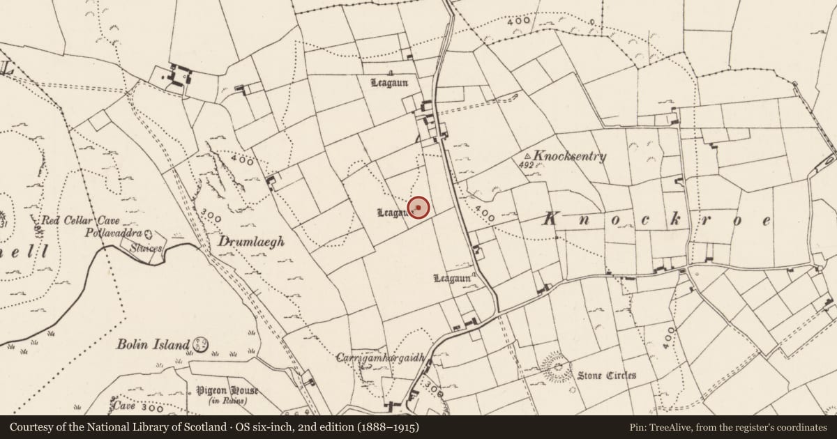 Ordnance Survey six-inch map, 2nd edition (1888–1915) covering the location of Standing stone, Loughgur, County Limerick, with a pin at the register's coordinates