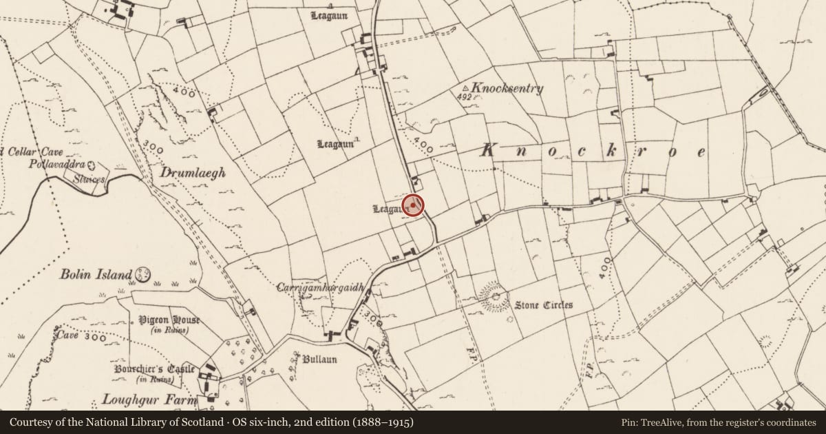 Ordnance Survey six-inch map, 2nd edition (1888–1915) covering the location of Standing stone, Loughgur, County Limerick, with a pin at the register's coordinates