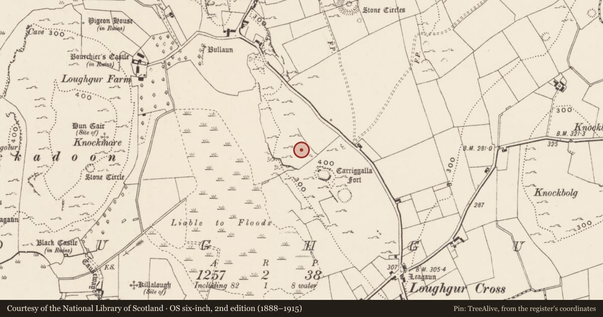 Ordnance Survey six-inch map, 2nd edition (1888–1915) covering the location of Structure, Loughgur, County Limerick, with a pin at the register's coordinates