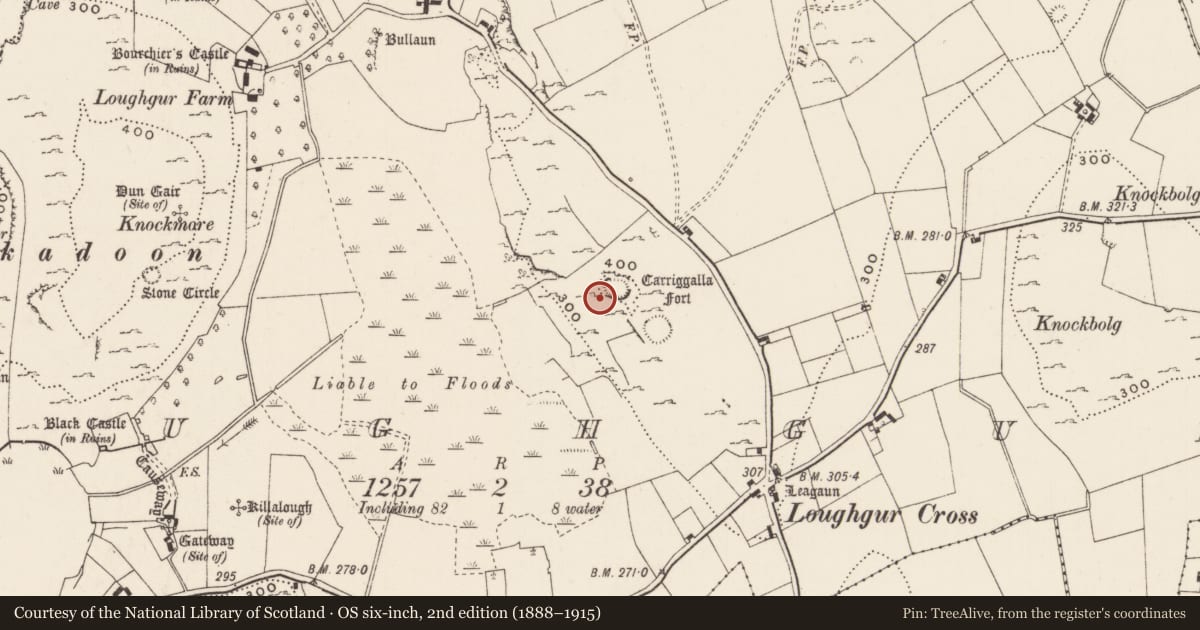 Ordnance Survey six-inch map, 2nd edition (1888–1915) covering the location of Enclosure, Loughgur, County Limerick, with a pin at the register's coordinates